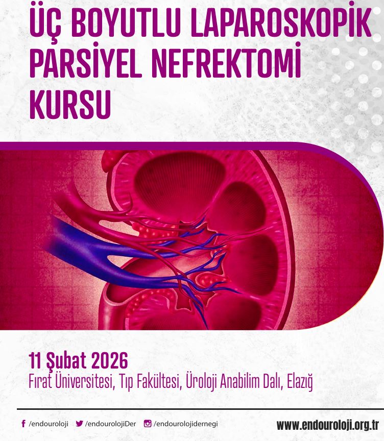 Üç Boyutlu Laparoskopik Parsiyel Nefrektomi Kursu